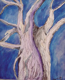 Bluegums by Jacqueline Alves
