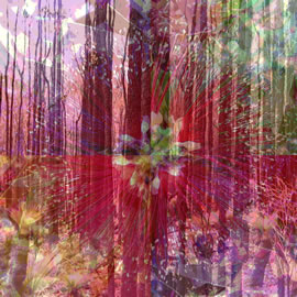 NATURES EXPLOSION by Jacqueline Alves