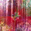 Click for a larger picture